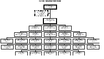 Organization Chart
