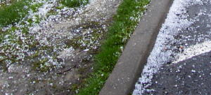 After the hailstorm