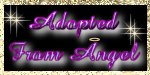 Adopted From Angel