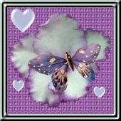 Adopted from Beauties and Butterflies