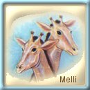 From Melli