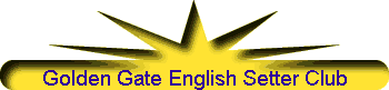 Golden Gate English Setter Club