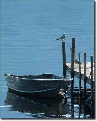 CLICK ON the PICTURETRAIL ICON below to view MORE pics and PRICES ALBUM.