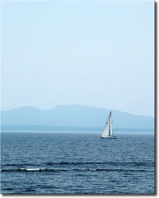 CLICK ON the PICTURETRAIL ICON below to view MORE pics and PRICES ALBUM.