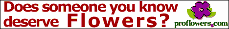Proflowers.com