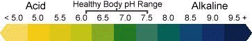 pH strip