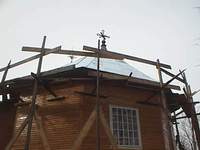vasc1.JPG (5234 bytes)