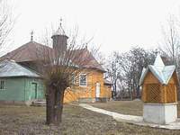 vasc4.JPG (6133 bytes)