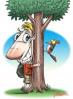 Tree Hugger
