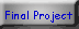 final project button