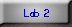 lab 2 button