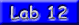 lab12_button