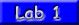 lab1_button
