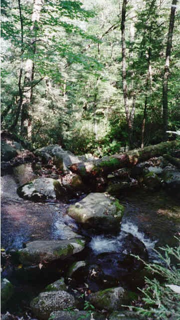 Indian Camp Creek