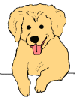 Hi, and Welcome to Ghostnet-7's Thank You Page! My name is Ruff and I am the Guardian Spirit of this Site
