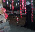 wickedwoods010004.jpg