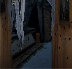 wickedwoods010005.jpg