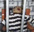 wickedwoods010011.jpg