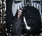 wickedwoods010023.gif