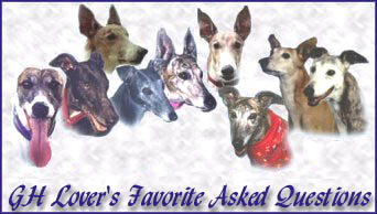 Greyhound Lover's FAQ  logo