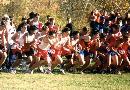 Start of Class LL Championship race
