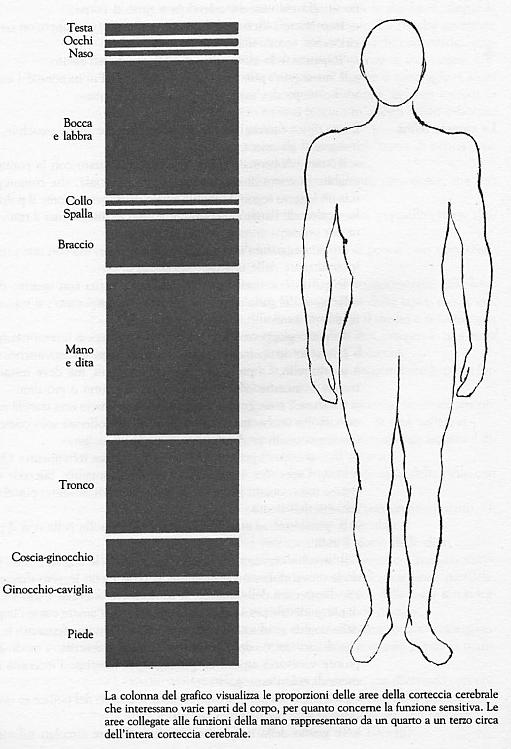 CollegamentoDisegno.jpg (56K)
