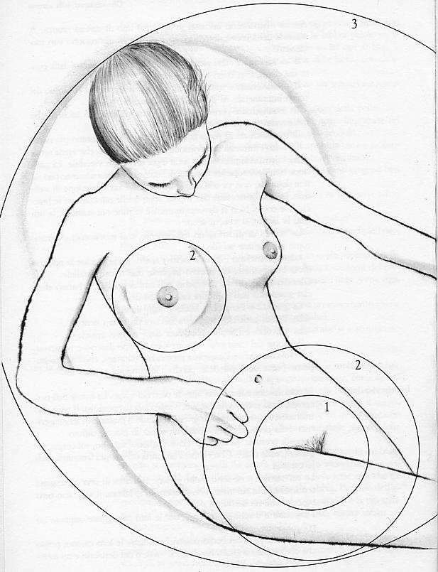 TreCerchiDisegno.jpg (67K)