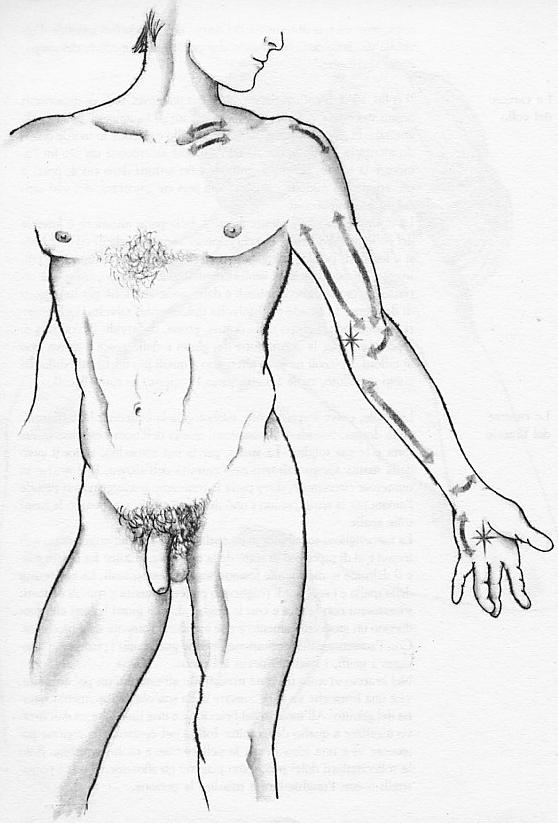 CarezzeBraccioPolsoManoDisegno.jpg (58K)