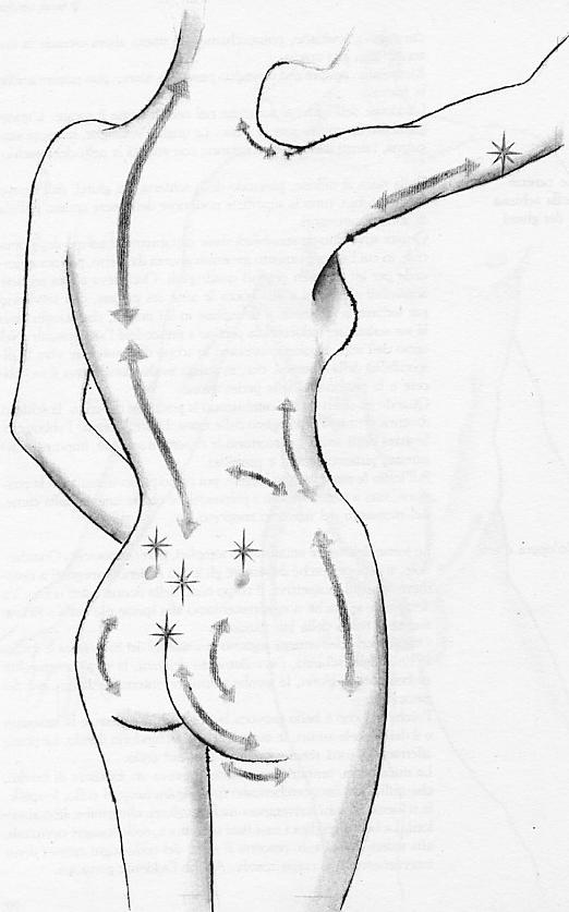 CarezzeSchienaGluteiDisegno.jpg (47K)