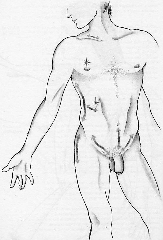 CarezzeToraceAddomeUomoDisegno.jpg (56K)