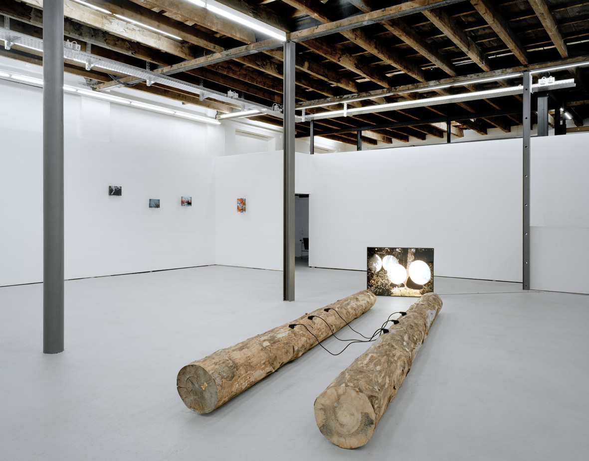 Gianluca Monnier @ Galleria Balmelli