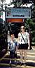 Zoo_escapees.