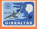 GIB215