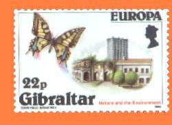 Gib532