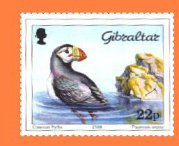 Gib597