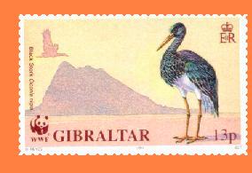 Gib658