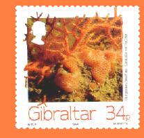 Gib728