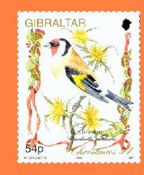 Gib733