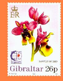 Gib753