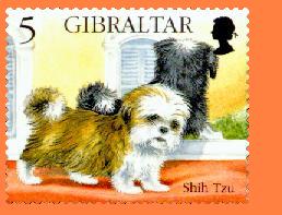 gib761