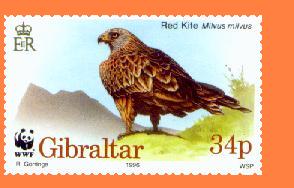 Gib785