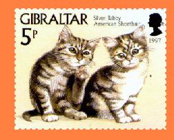 Gib797