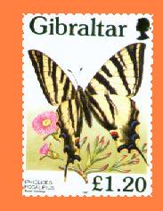 Gib807