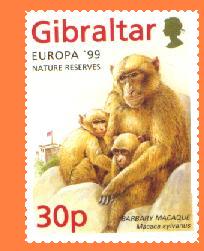 Gibeuropa99