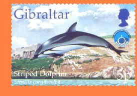 Gibmarine