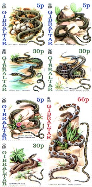 snakes