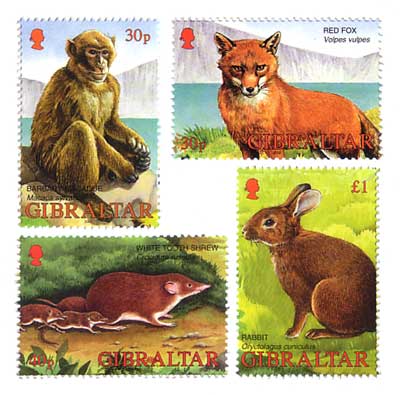 Wildflife of Gibraltar
