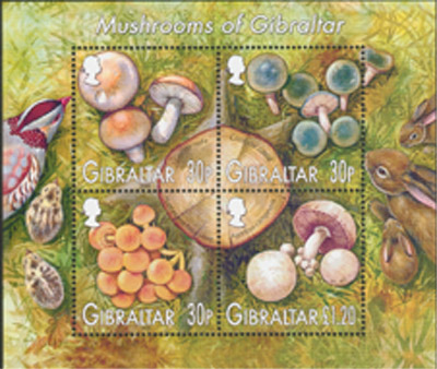 Fungims