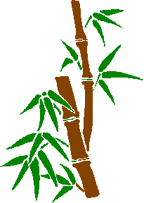 Bamboo Shoot