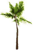 Read a poem about a Tree